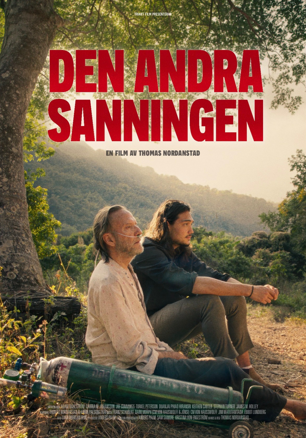 large-den-andra-sanningen-original