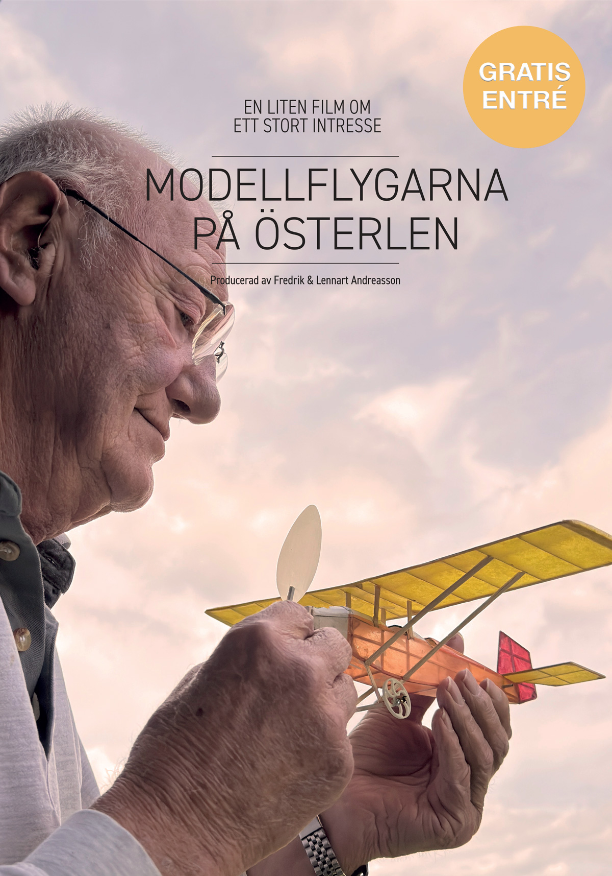 large-modelllflygarna-pa-osterlen