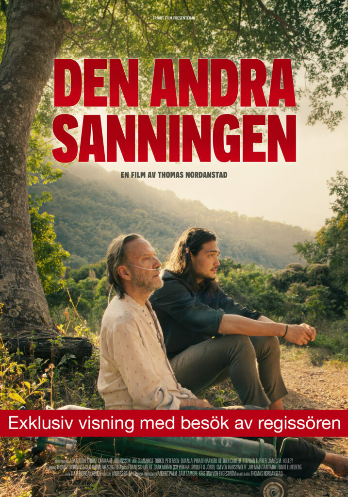 large-den-andra-sanningen-original-borrby