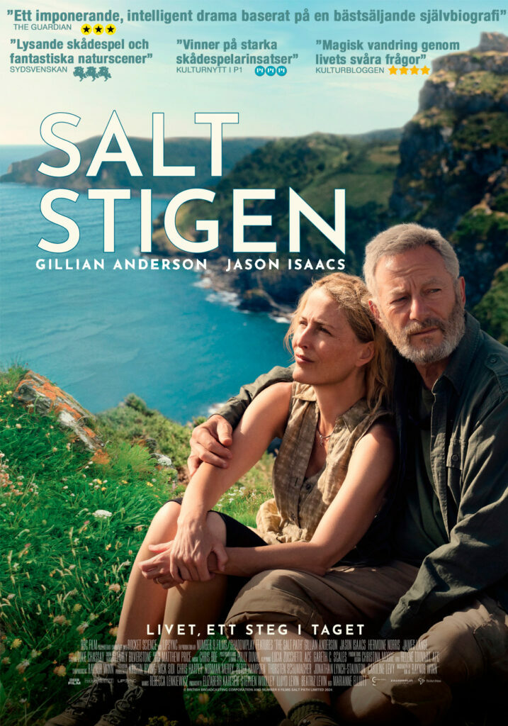 large-saltstigen-rec