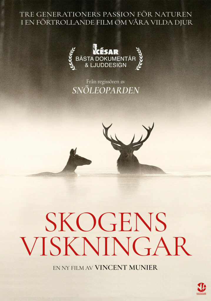 large-skogens-viskningar